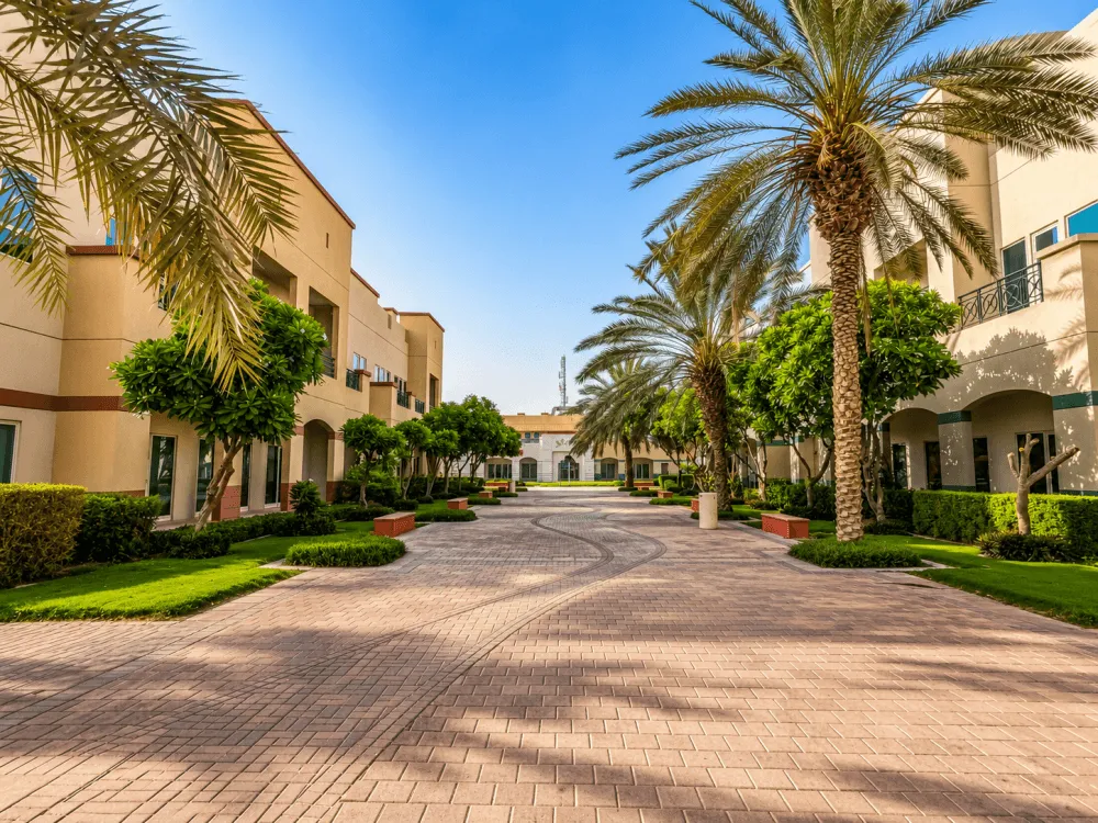 Palm-lined walkway between low-rise buildings in Dubai Academic City