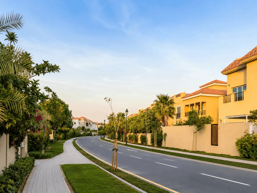 Tree-lined residential road with villa compounds in Dubailand
